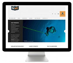 使用 wordpress cms 进行非营利 seo 营销